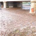 The Morning After The Floods 016